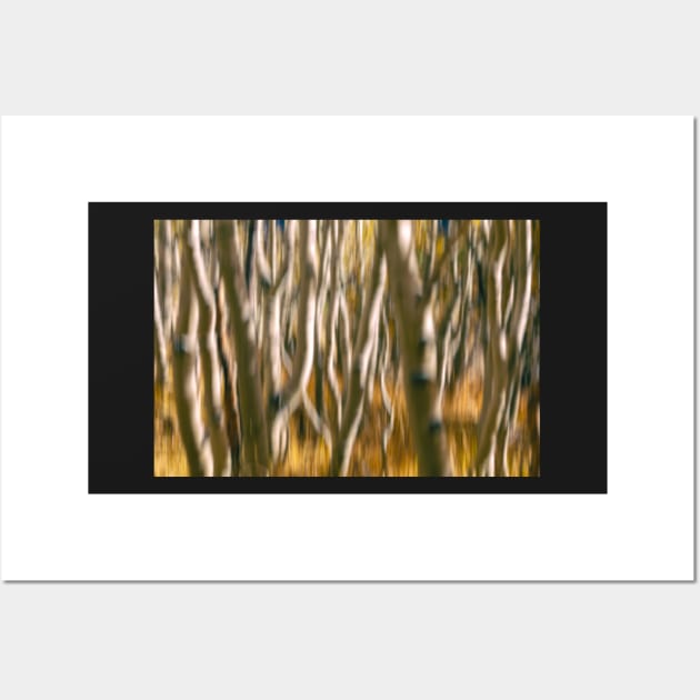 Aspen Abstract Wall Art by jvnimages